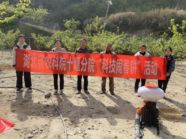 应用程序如何帮助农民保护高粱收获